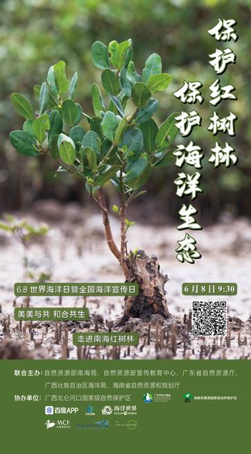 直播预告|海洋日，“云”相约！