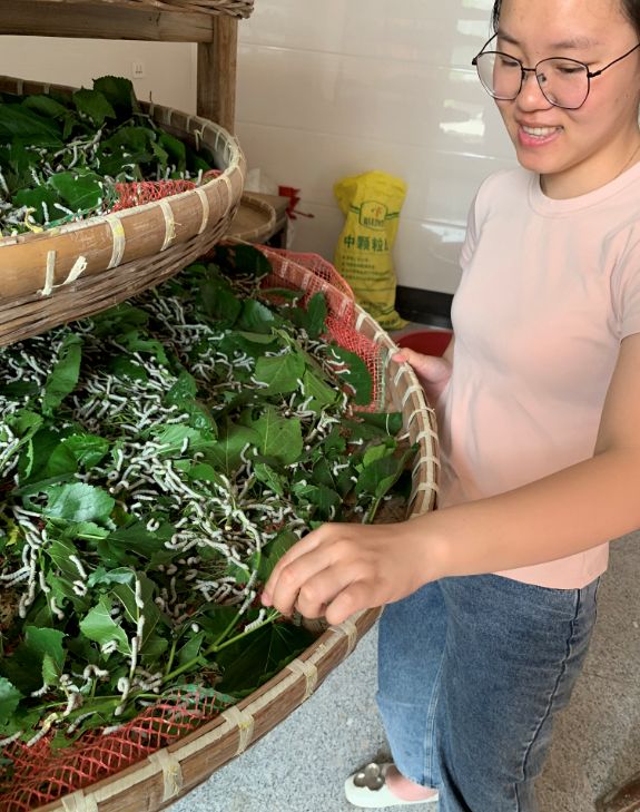 棉花被和蚕丝被到底哪个好,蚕丝被和棉花被哪个好一点