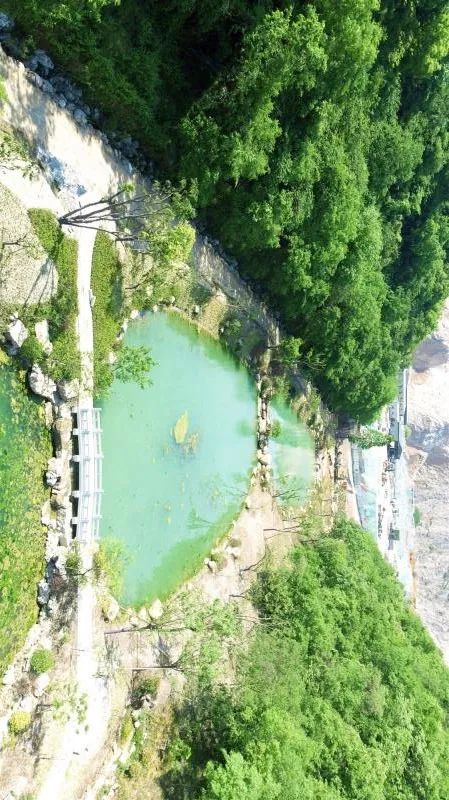 杭州新开最大的公园,杭州新湿地公园