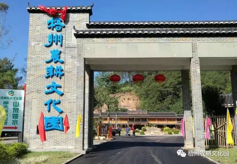 来梧州，体验岭南文化，吃遍大街小巷|“广西人游广西”精品自驾游路线