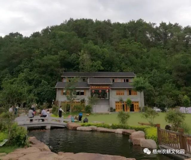 来梧州，体验岭南文化，吃遍大街小巷|“广西人游广西”精品自驾游路线