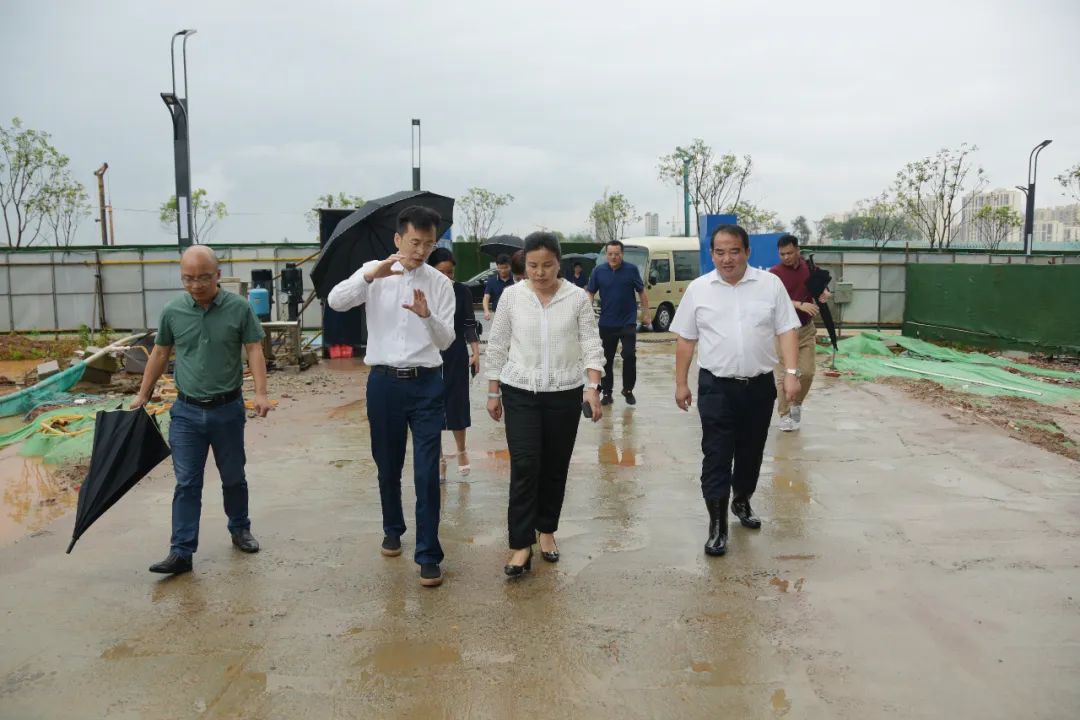 县委书记龙国英,龙国英采访