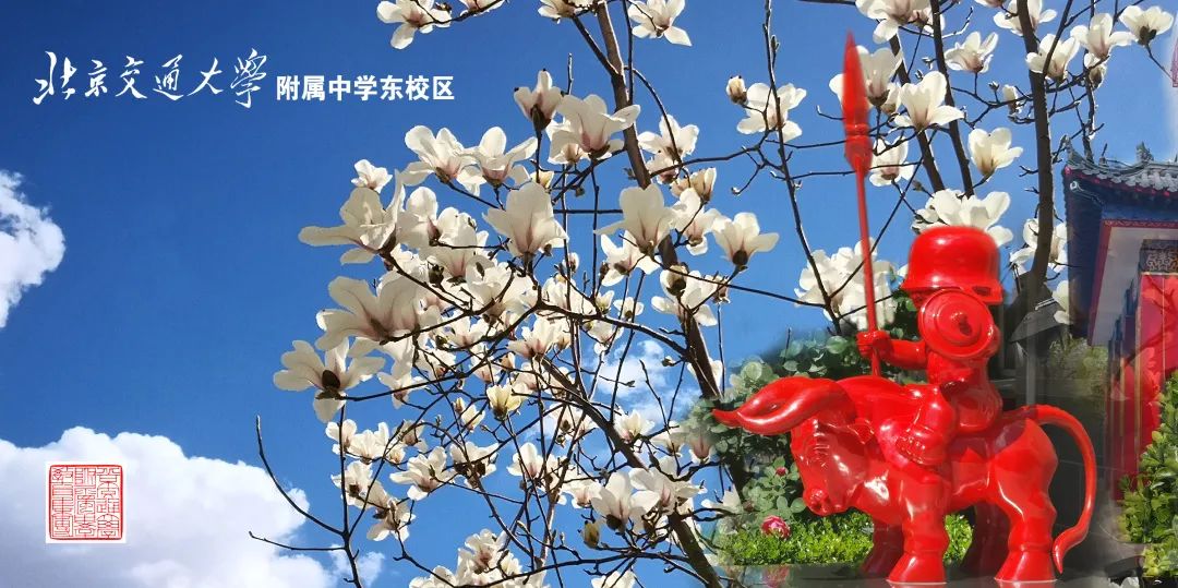 海淀学校都是“宝”，我们带您“云”探校|第二辑