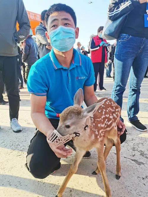 「吉农亮点」一“鹿”高歌向远方，双阳鹿乡采茸文化节启幕
