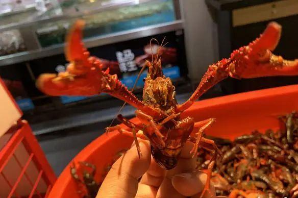 与它“握”了个手，男子手指红肿溃烂！医生：别大意