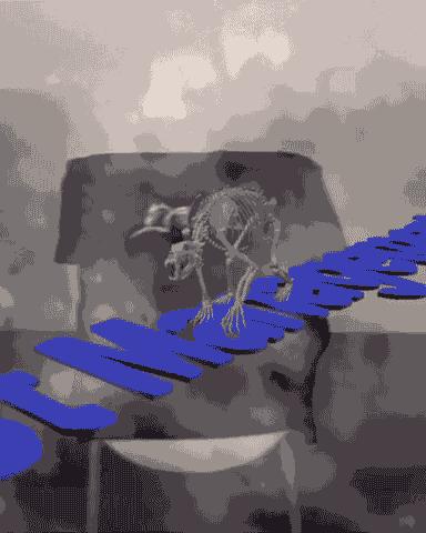 被女生刷屏,明星火爆同款