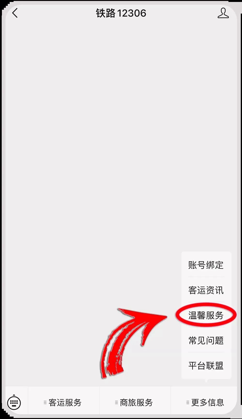 火车站有绿色通道吗怎么预约,火车站窗口预约