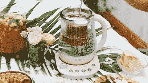 检验合格养生壶,电炖盅锅测评