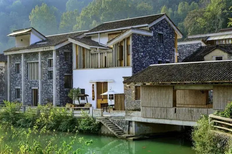 周末去哪儿⑫|王牌推荐，出行不愁！富阳山乡鲜得太“上头”啦！