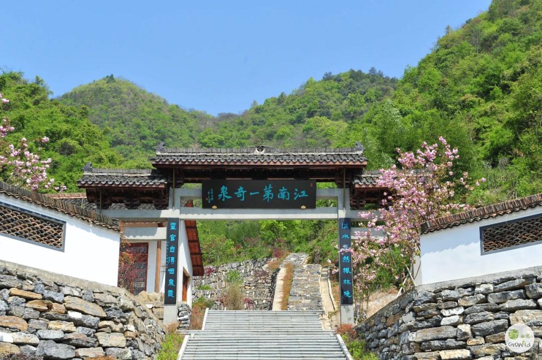 周末去哪儿⑫|王牌推荐，出行不愁！富阳山乡鲜得太“上头”啦！