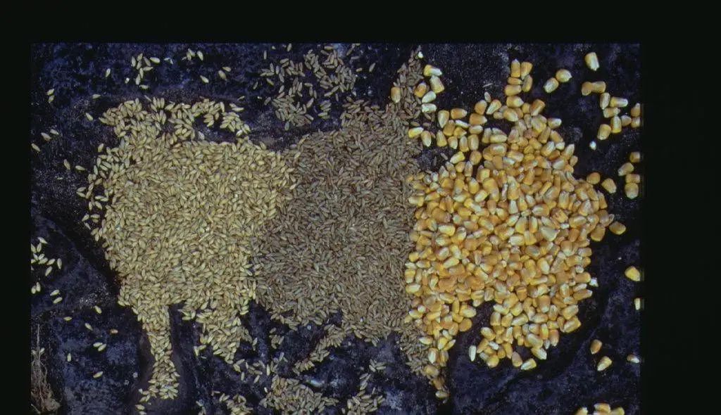 占我便宜英语,占我便宜英语表达