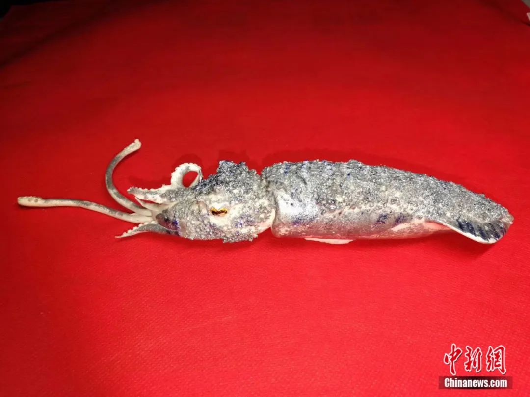 给他一坨面，他能给你整个海洋……