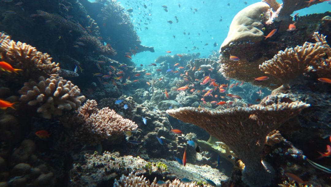 马代度假攻略,马代奢享酒店