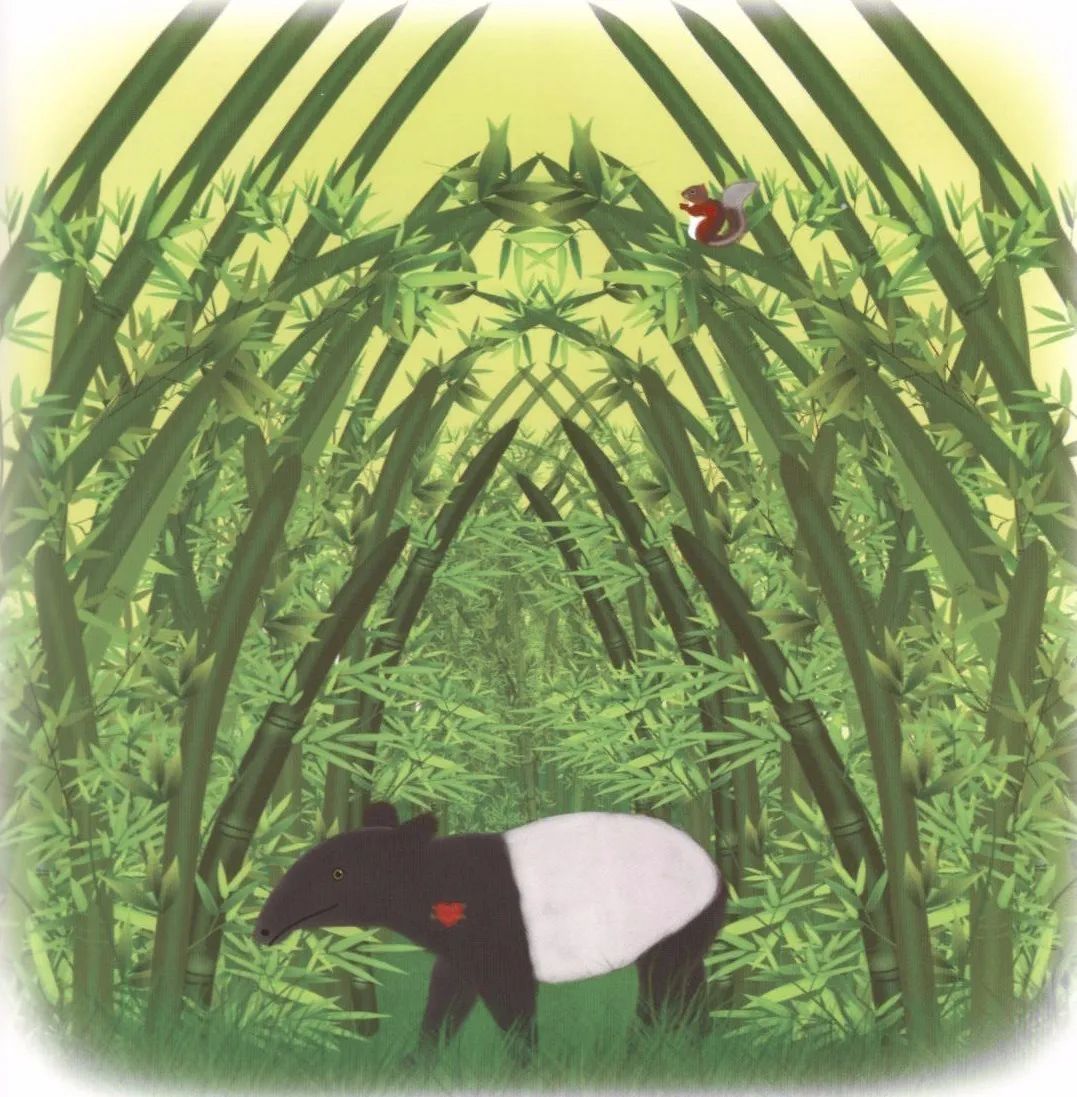 邕小环讲生态故事｜竹子的馈赠：土种树，木养土。竹子的功劳，你知不知道？