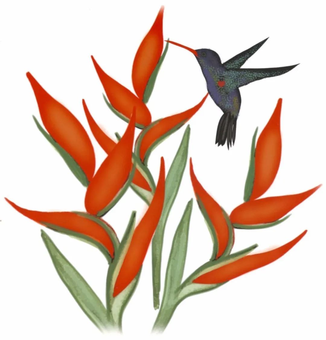 邕小环讲生态故事｜竹子的馈赠：土种树，木养土。竹子的功劳，你知不知道？