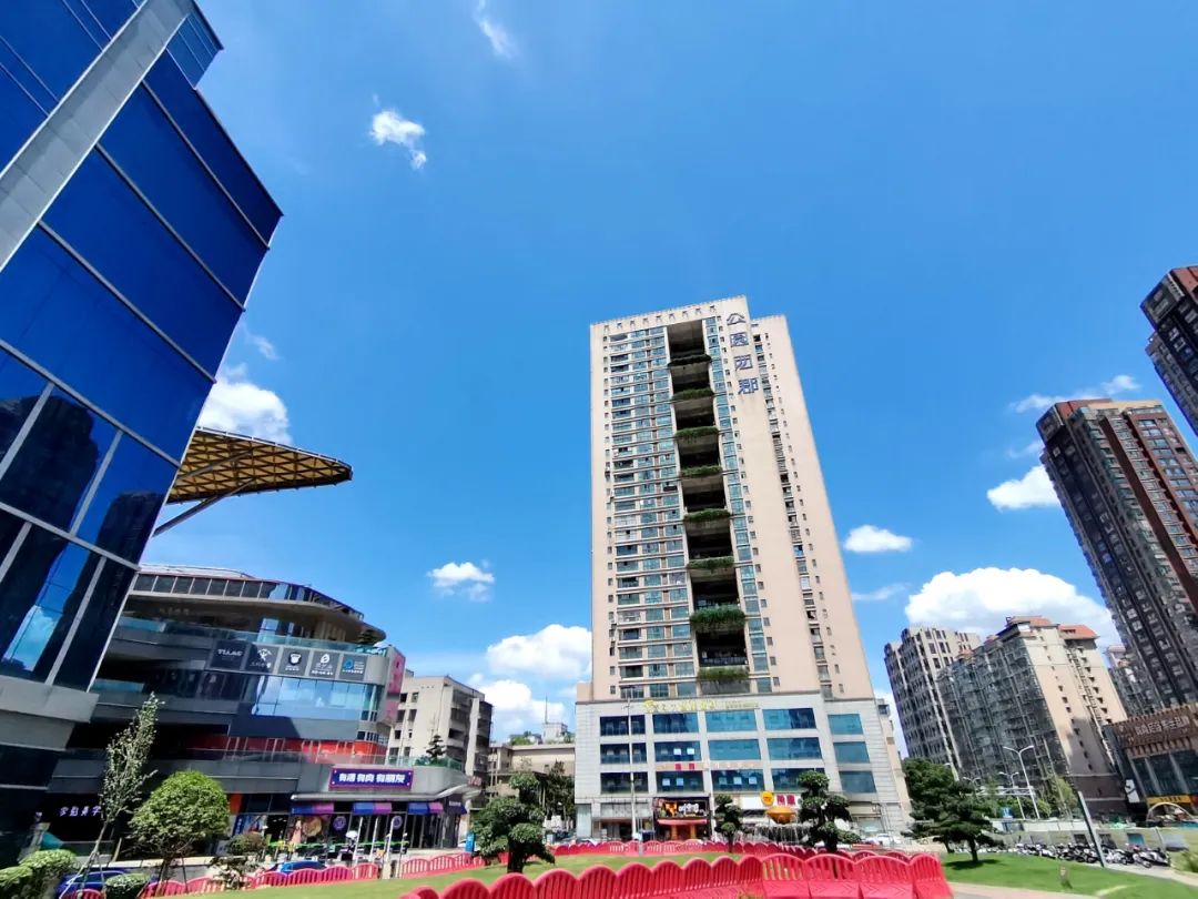 刷屏了！这样的开福蓝，请给我来一打