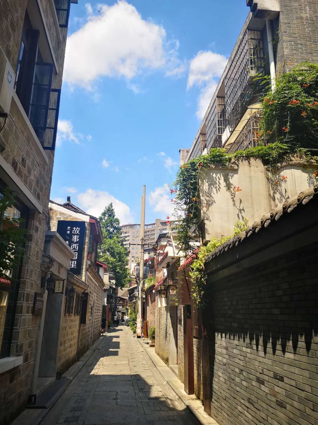 刷屏了！这样的开福蓝，请给我来一打