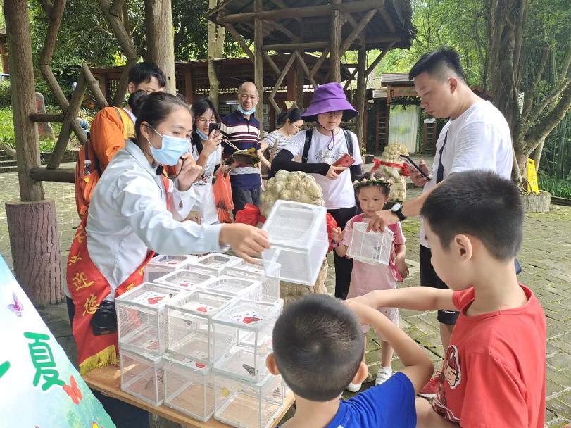 好玩的端午游活动,好玩的端午假期