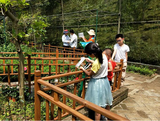 好玩的端午游活动,好玩的端午假期