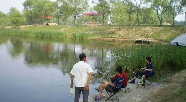 农村养殖什么最赚钱鸡鸭猪羊,在农村种植或养殖什么比较赚钱