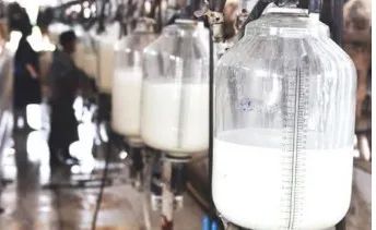 「养殖天地」牧场无乳链球菌的危害与清除计划实施要点