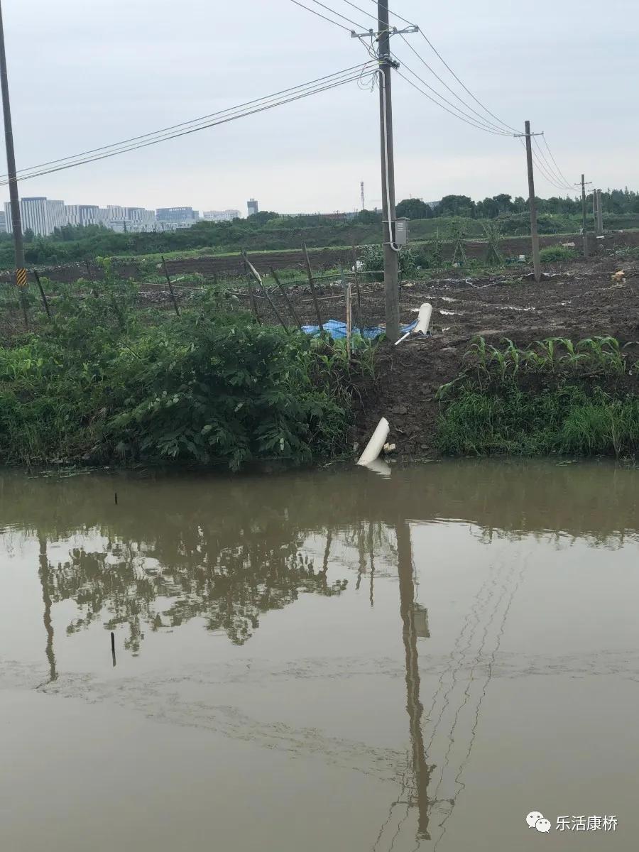 康桥镇学生日记,康桥日记内容
