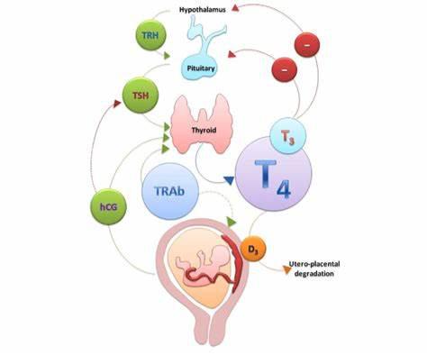 妊娠期亚临床甲状腺功能减退,妊娠期甲功异常