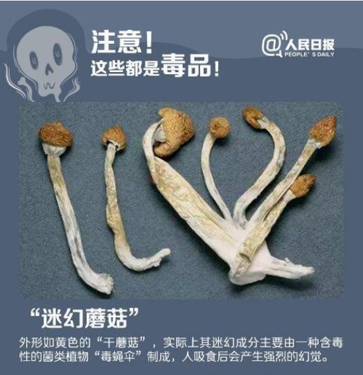 跨省运毒获刑案例,贩毒运毒藏毒怎么判刑