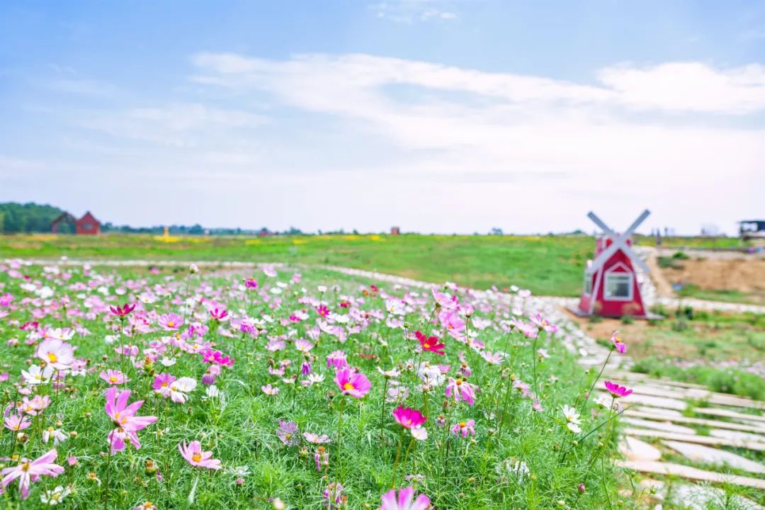 成都双流晚上适合拍照打卡的地方,成都周末打卡推荐双流