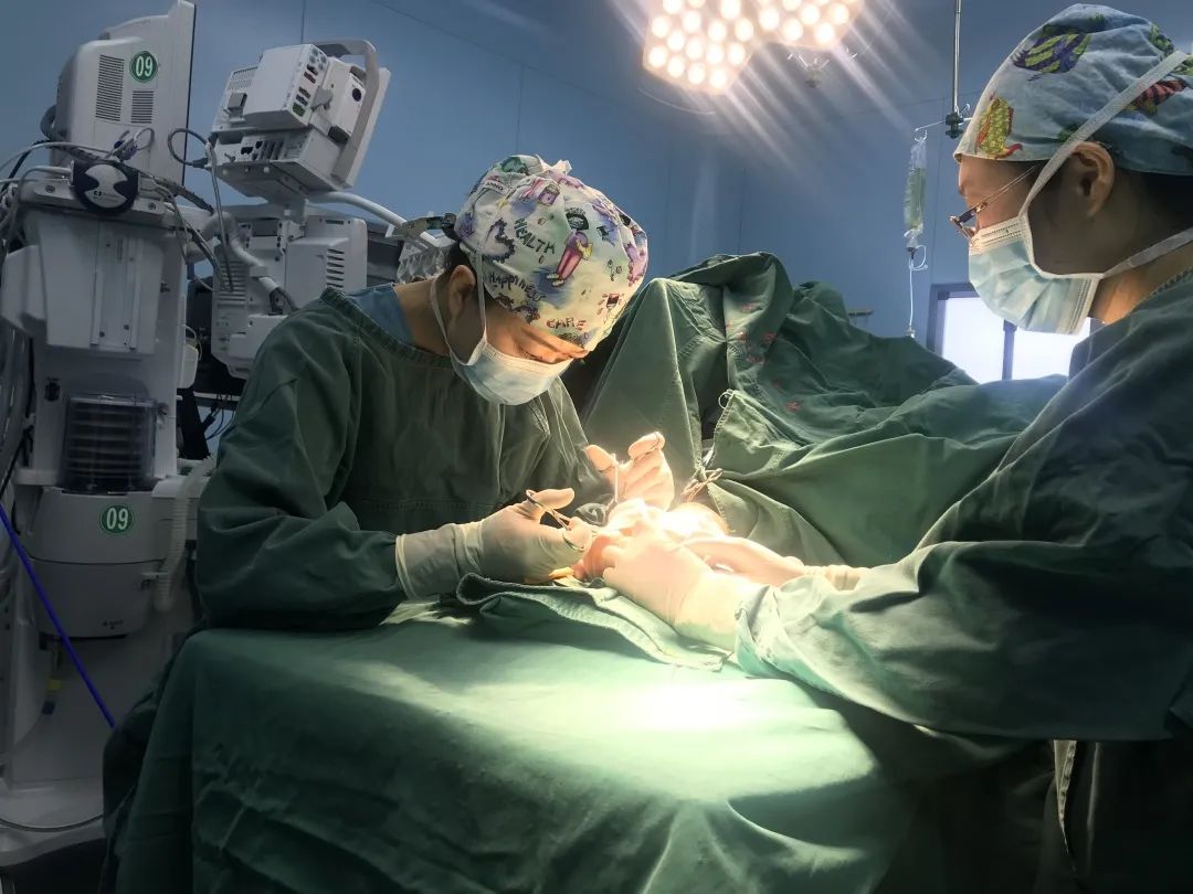 中医专栏赵萍视频,赵萍医生的视频