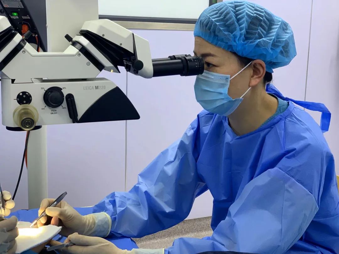 中医专栏赵萍视频,赵萍医生的视频