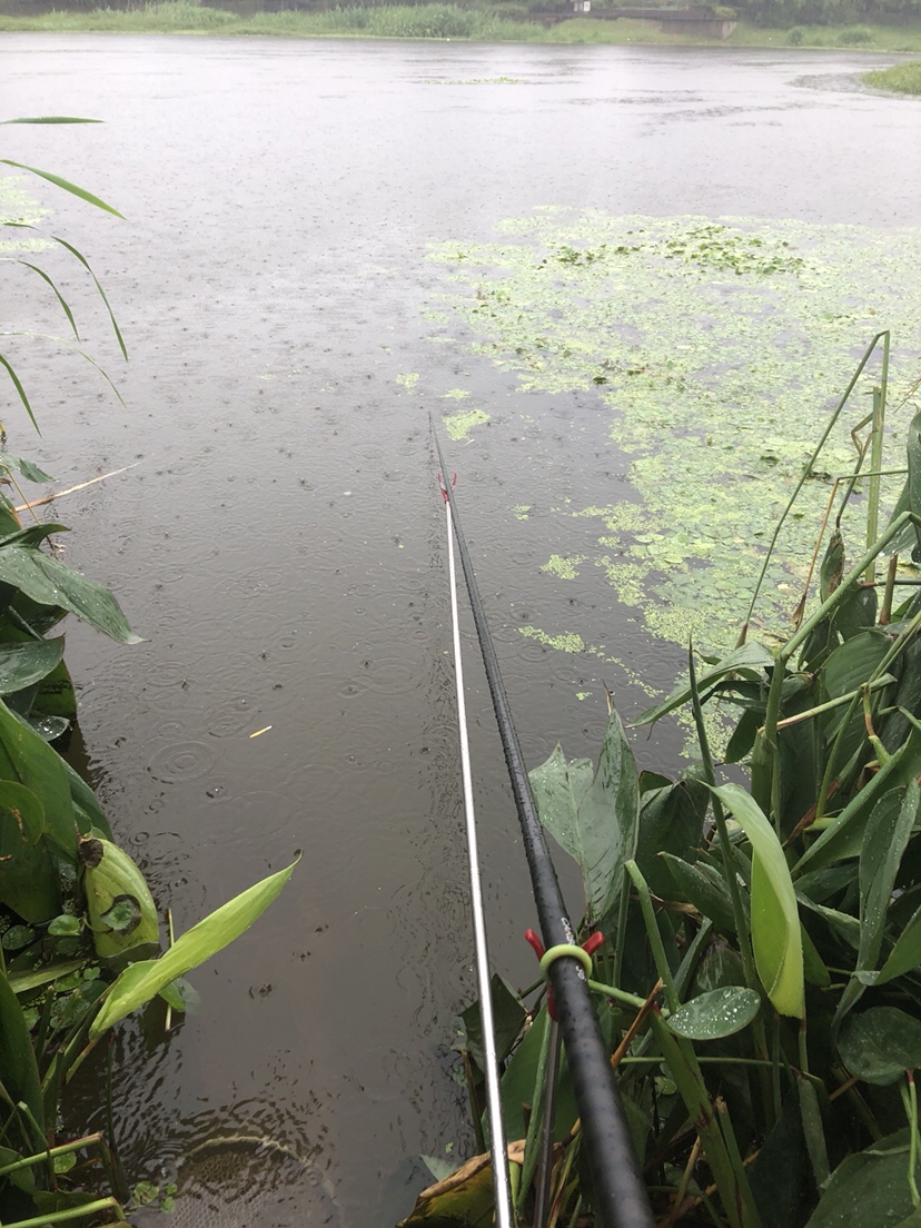 野钓偷瞄隔壁老师傅，没有对比就没有伤害