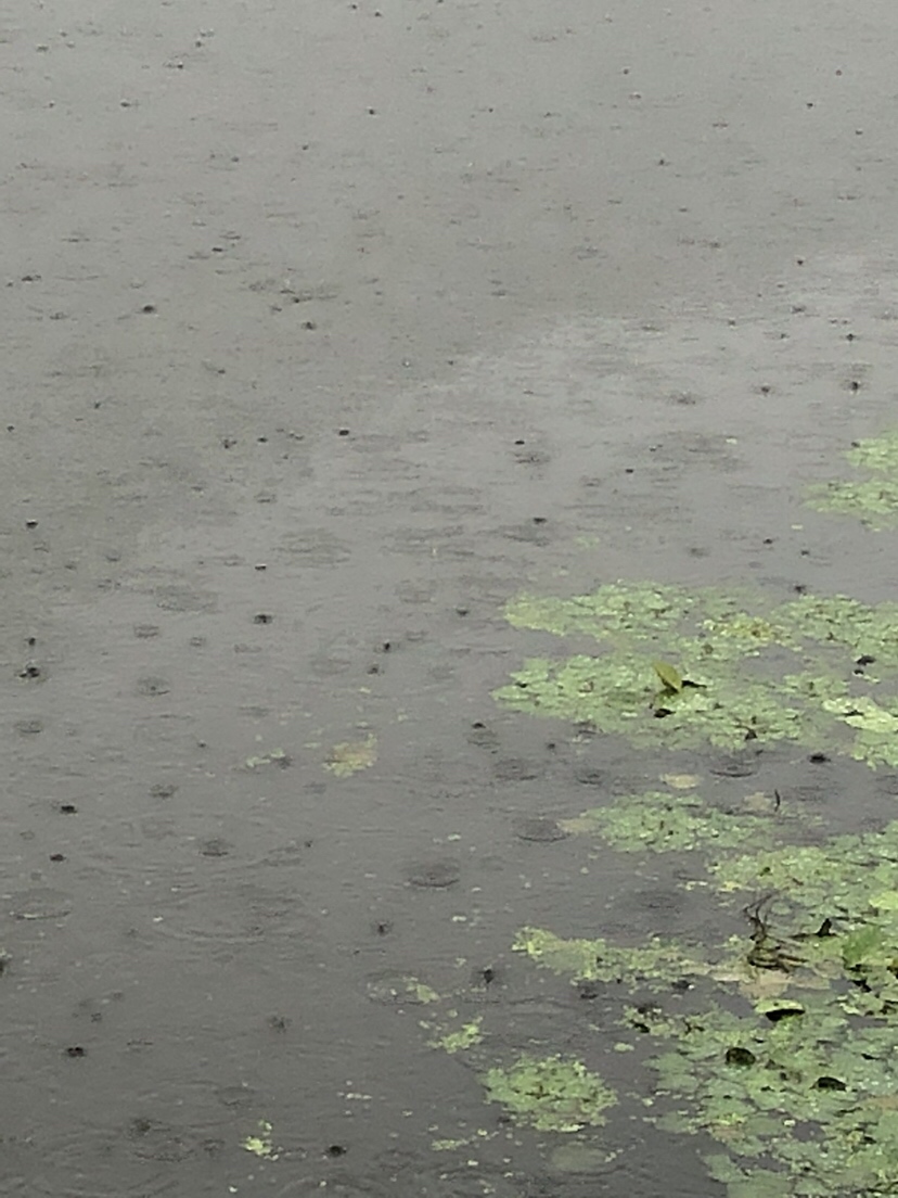 野钓偷瞄隔壁老师傅，没有对比就没有伤害