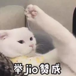 从零开始学花艺直播,从零开始学花艺全集