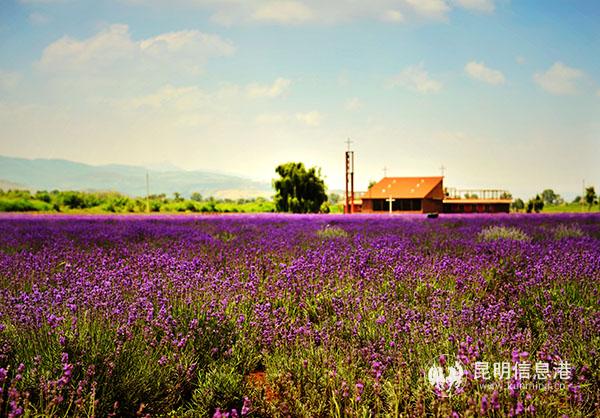 恒大养生谷昆明嘉丽泽规划,昆明嘉丽泽区养生谷
