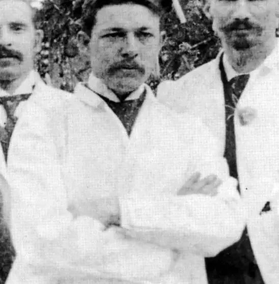 癌症的免疫治疗文献综述论文,综述癌症的免疫细胞疗法