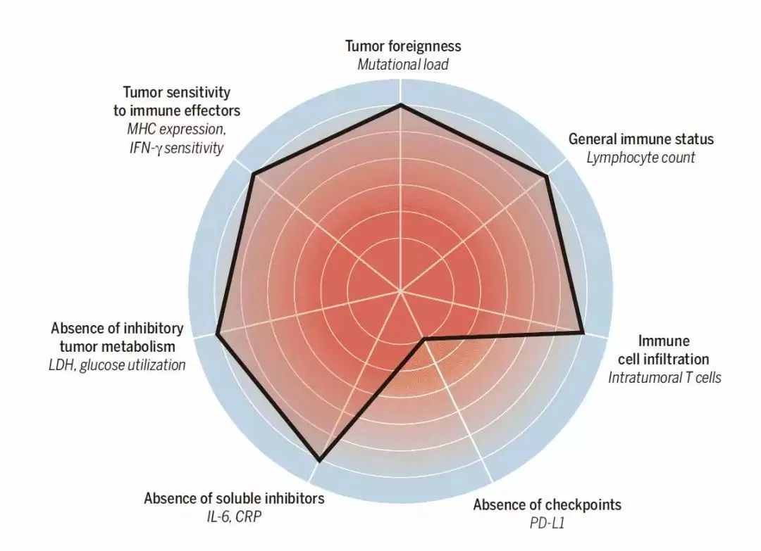 癌症的免疫治疗文献综述论文,综述癌症的免疫细胞疗法
