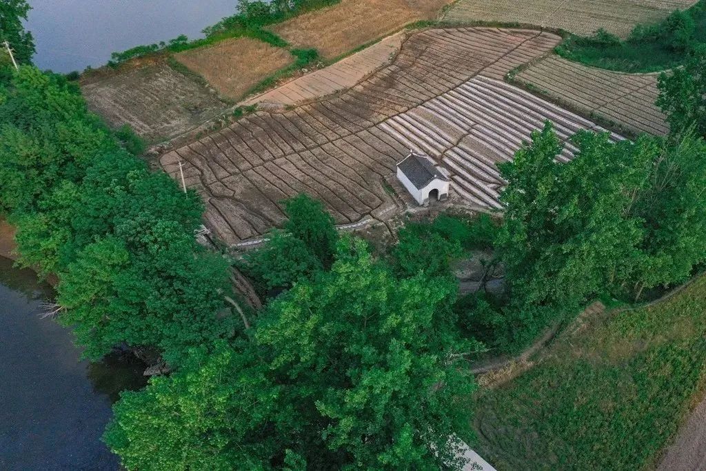 周末去哪儿⑭|万市的漂流，场口的瓜，胥口桃源避暑行……麻烦给我的爱人来一份“夏日清凉”！