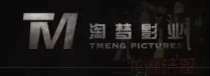 中国十大网络电影公司排行,网络电影前十的公司