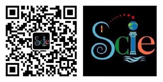 动物界中唯一一种一妻一夫的动物,世界上有哪些动物是一夫一妻制