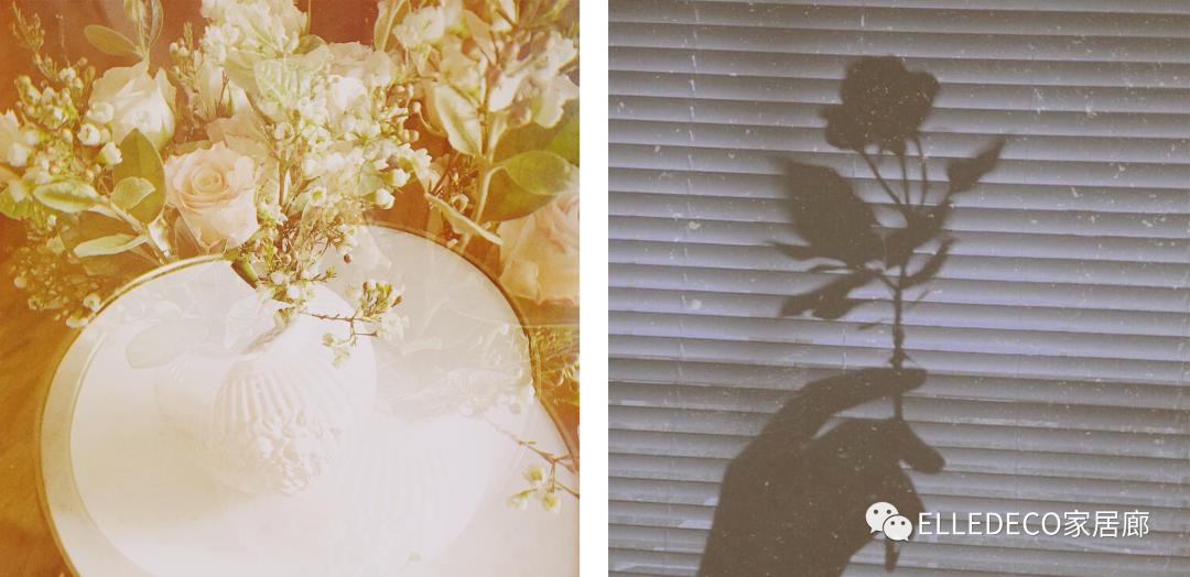 blackpink四小只各有各的风格,blackpink这次回归哪两位最亮眼