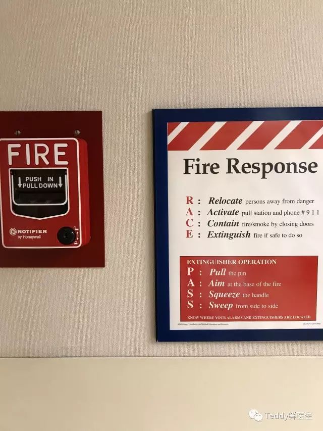 梅奥诊所经历,梅奥诊所真实照片