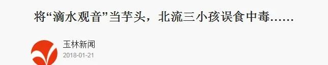 登山突遇大雨，深圳女子咬下这种叶子挡雨，结果中毒送医