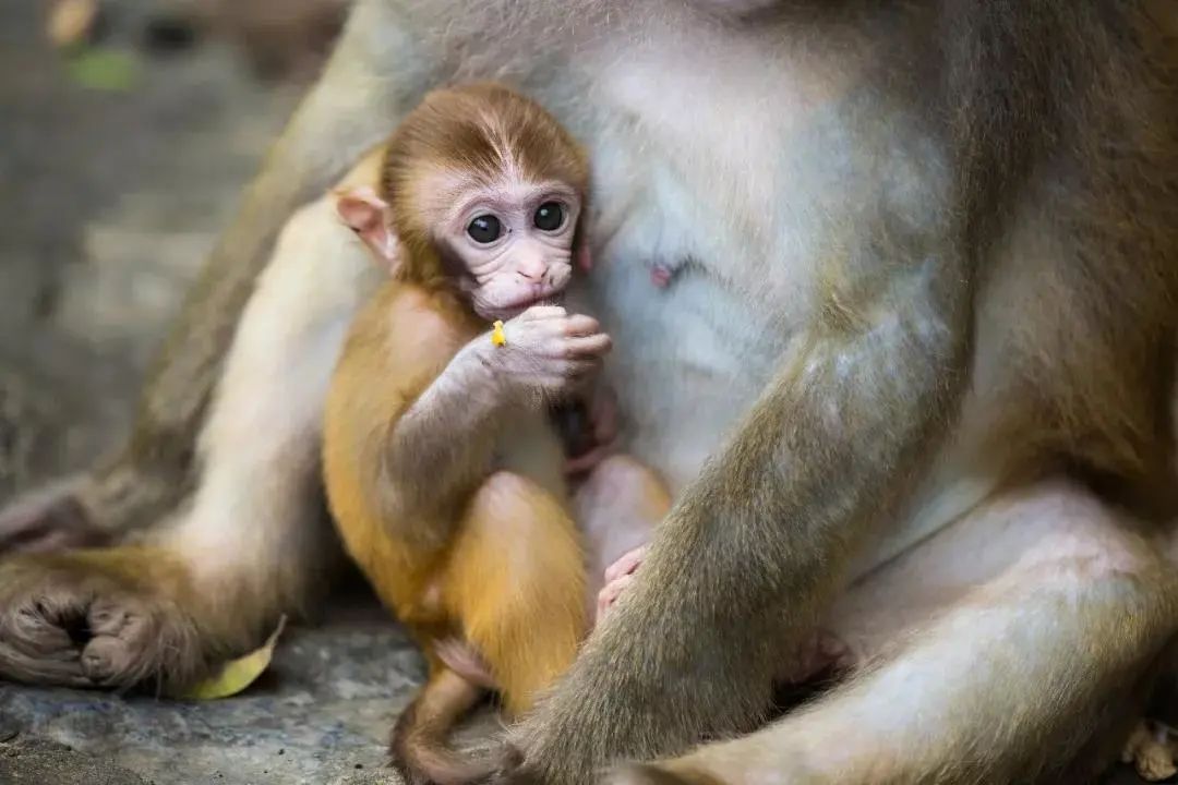 南宁附近最适合游泳避暑的地方,南宁夏天有哪些避暑的地方
