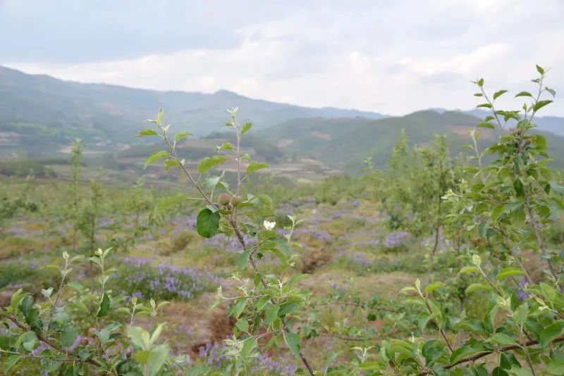 扶贫故事第三季,扶贫故事感动视频