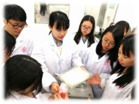 专业介绍中药学河北中医学院,中药学专业招聘