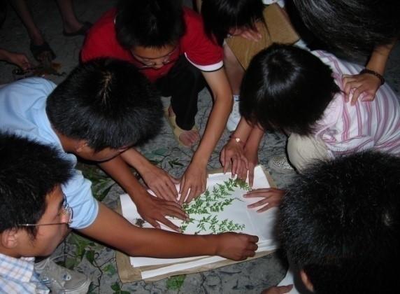 专业介绍中药学河北中医学院,中药学专业招聘