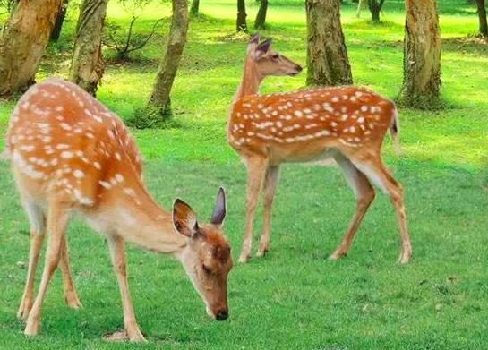 周末亲子好去处无动力乐园,亲子农场适合带孩子去玩的地方