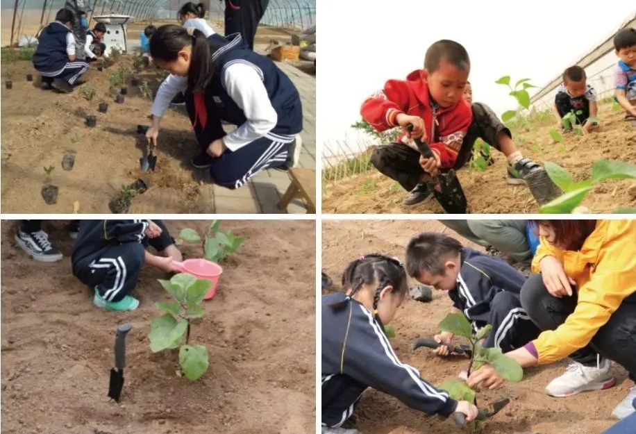 周末亲子好去处无动力乐园,亲子农场适合带孩子去玩的地方