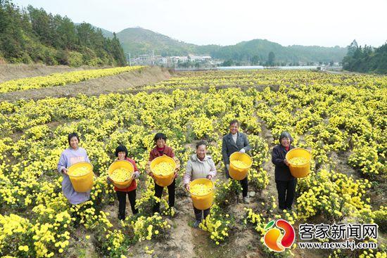 石城小松创业园,石城小松镇富民路